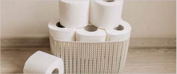 10 best toilet paper for septic systems