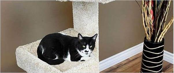 Luxurious cat tree for large breeds
